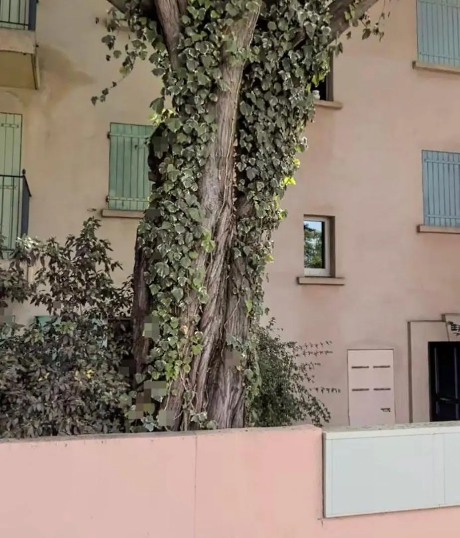 Apartment Front De Mer Les Lecques